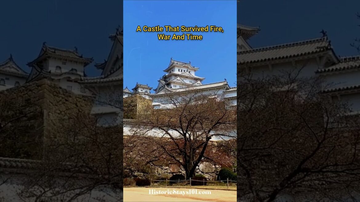 Japan’s Most Resilient Castle? Himeji Castle Hides Many Secrets #shorts #japan #heritagetravel Japan’s Most Resilient Castle? Himeji Castle Hides Many Secrets #shorts #japan #heritagetravel
