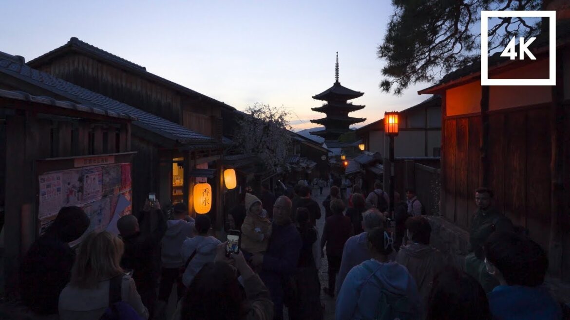 Japan – walking tour to see cherry blossoms in full bloom lit up at night // 4K Japan - walking tour to see cherry blossoms in full bloom lit up at night // 4K