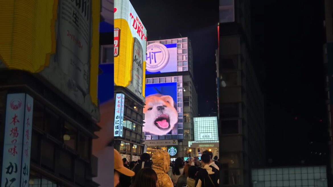 April 17, 2025: Last night