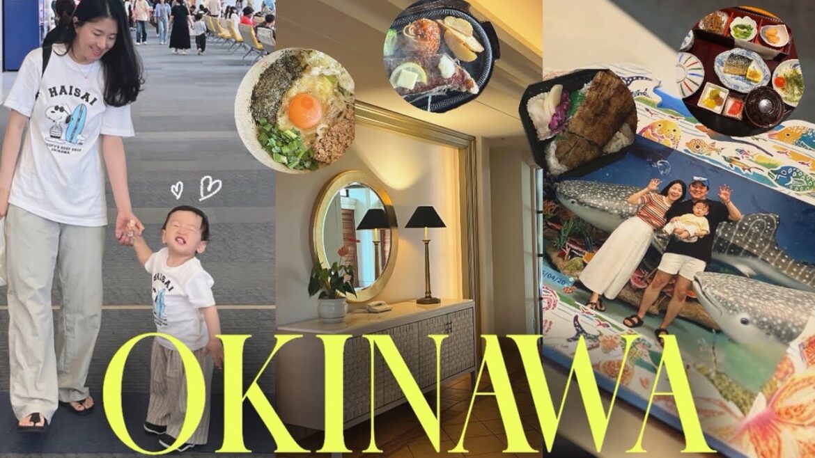 vlog | 13개월 아기와 오키나와 여행🐬 (모르면 손해인 꿀팁🍯, 쇼핑템 •맛집 추천/더부세나테라스) vlog | 13개월 아기와 오키나와 여행🐬 (모르면 손해인 꿀팁🍯, 쇼핑템 •맛집 추천/더부세나테라스)
