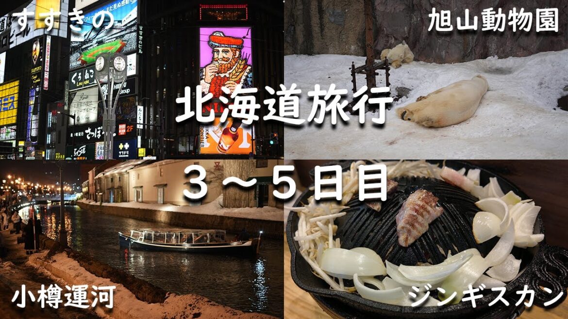 【北海道vlog】北海道新婚旅行3-5日目旭山動物園、小樽、ジンギスカンHokkaido Honeymoon Days 3-5 Asahiyama Zoo, Otaru, Genghis Khan