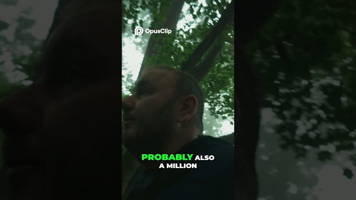 Epic Mountain Climb! Fairy Tale Views Worth It! Epic Mountain Climb! Fairy Tale Views Worth It!