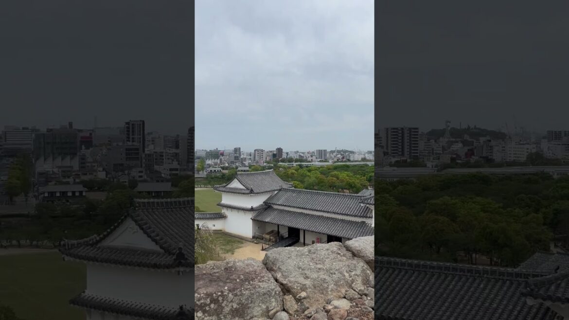 Amazing Himeji Castle 🇯🇵🏯 #japan #travel #castle #shorts #himeji