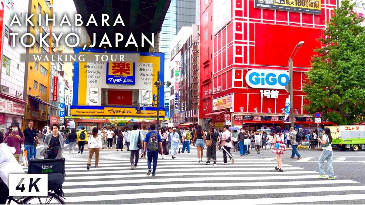 Tour of Akihabara | Tokyo, Japan Walking Tour 🇯🇵【4K | 60fps】 Tour of Akihabara | Tokyo, Japan Walking Tour 🇯🇵【4K | 60fps】