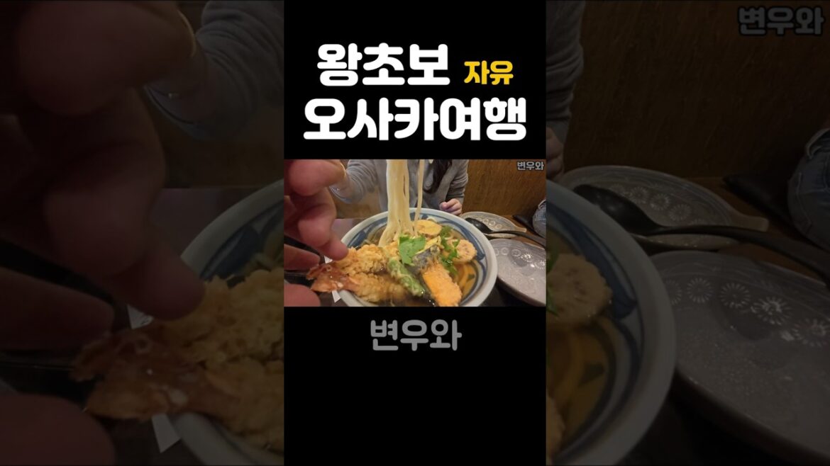 오사카에서 하루 만에 N만보 걷기! (feat. 꿀팁과 찐텐 반응) #여행 #travel #오사카 #일본여행 오사카에서 하루 만에 N만보 걷기! (feat. 꿀팁과 찐텐 반응) #여행 #travel #오사카 #일본여행