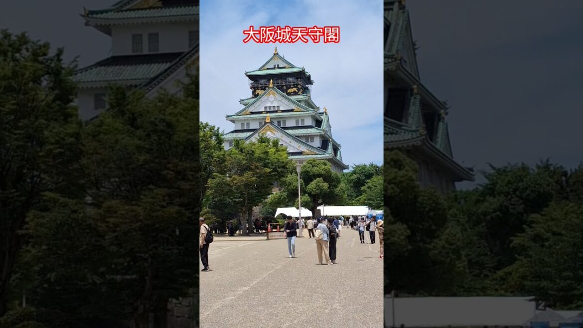 大阪城天守閣 #日本 #大阪 #大阪城 #天守閣 #japan #osaka #osakojo #tenshukaku