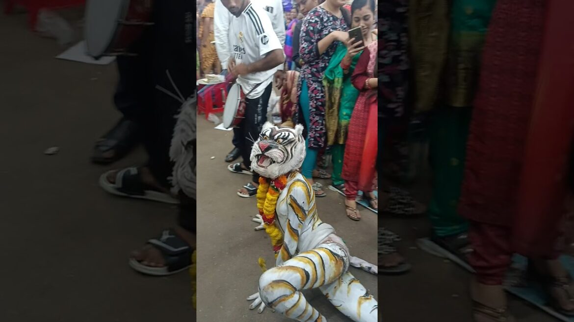 Ganjam famous bhago Nacho in bramhapur #baghanacha #ganjam #bramhapur