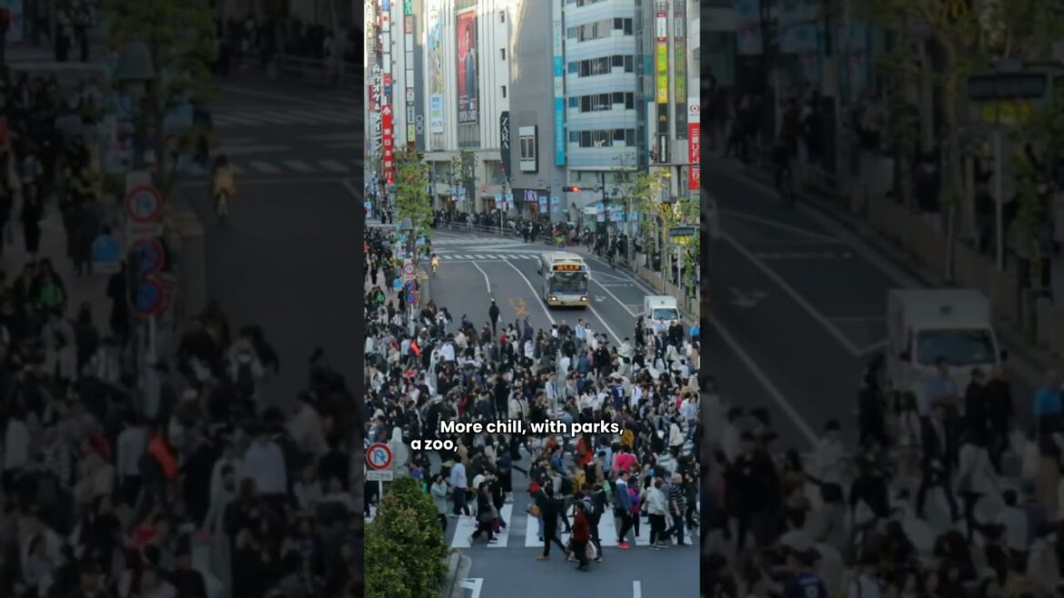 Where to stay in Tokyo Where to stay in Tokyo