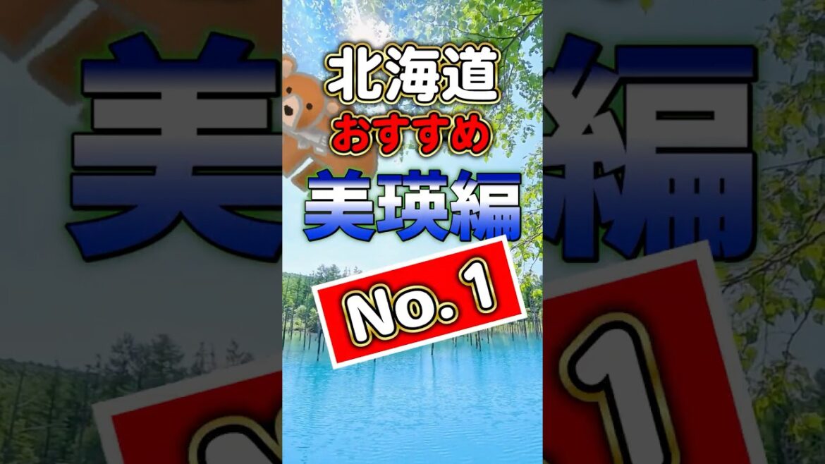 【美瑛編  No.1】北海道 美瑛に行ってきた！ガチ旅 4選【次回も続く！】 #hokkaido  #観光 #グルメ