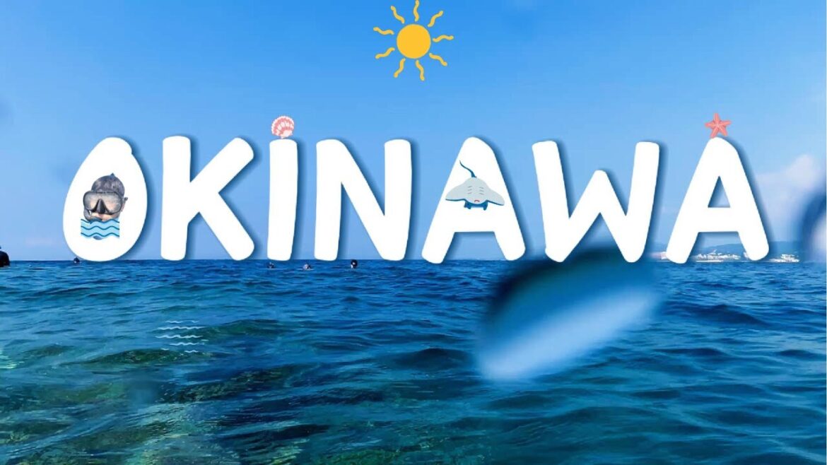 나 혼자 오키나와 도보 여행🏃♂️영상 보고 오키나와 안 가면 인정ㅣ하이라이트는 마지막 장소 나 혼자 오키나와 도보 여행🏃♂️영상 보고 오키나와 안 가면 인정ㅣ하이라이트는 마지막 장소