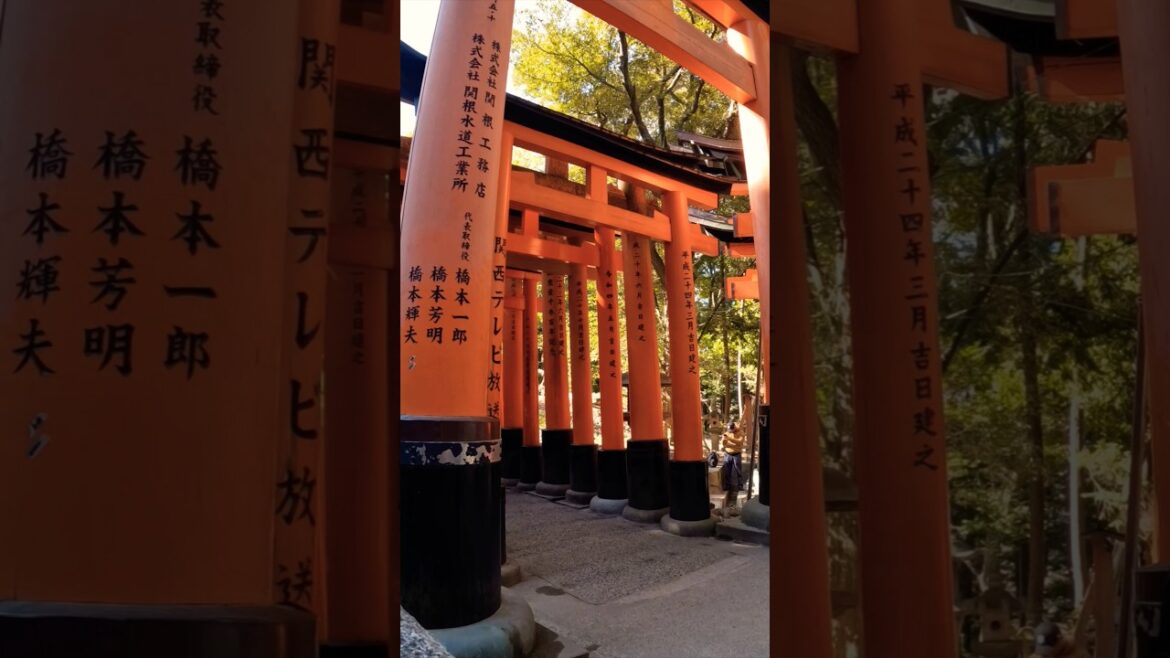 Kyoto timelapse #shorts #travel #short #timelapse #samsung