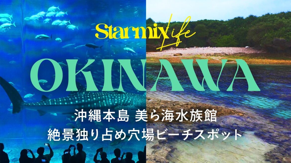 【旅行Vlog】沖縄本島 美ら海水族館と穴場ビーチスポット
