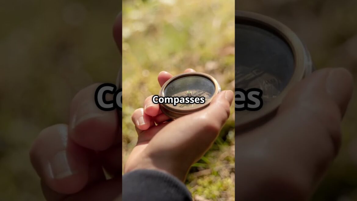 Japan’s Suicide Forest – The Place Where People Vanish Without a Trace