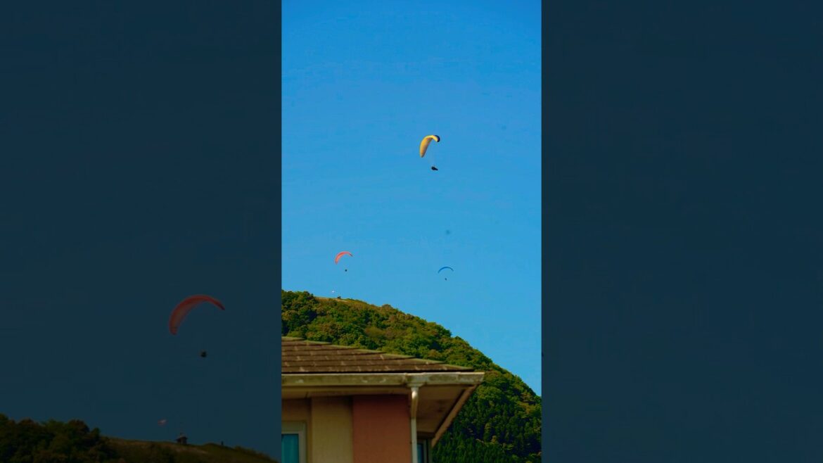 Paragliding that I definitely want to do someday#japan #trip #travel #shorts