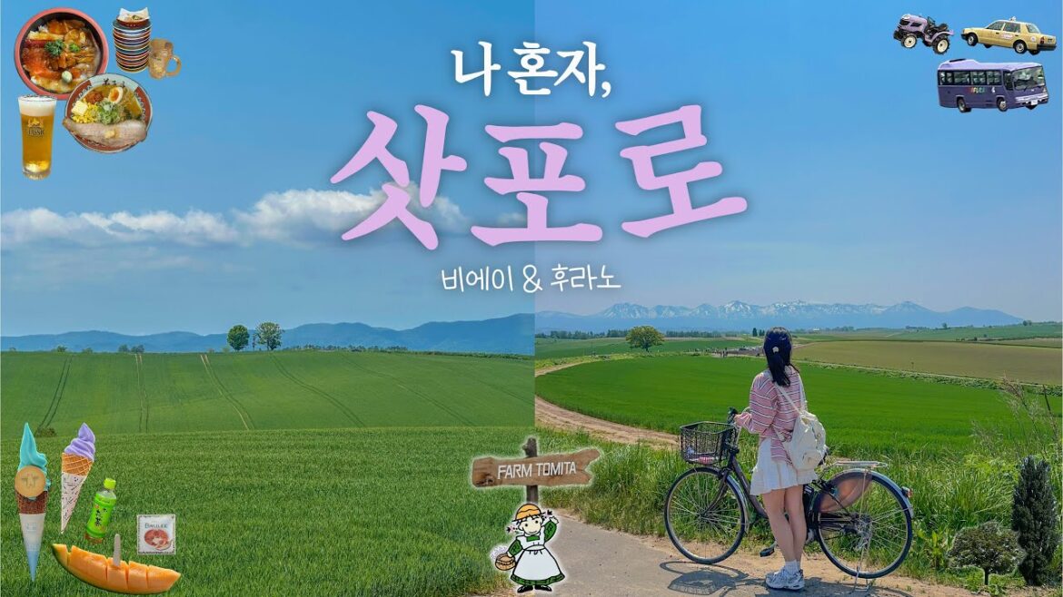 투어❌ 나 홀로 뚜벅이 비에이&후라노 훗카이도 여행🌳 + 삿포로 마지막 날 | 빡세지만 후회 없었던 꽉 찬 하루 | 패치워크로드•전기자전거•비에이맛집•청의호수•팜도미타•스시오픈런 투어❌ 나 홀로 뚜벅이 비에이&후라노 훗카이도 여행🌳 + 삿포로 마지막 날 | 빡세지만 후회 없었던 꽉 찬 하루 | 패치워크로드•전기자전거•비에이맛집•청의호수•팜도미타•스시오픈런