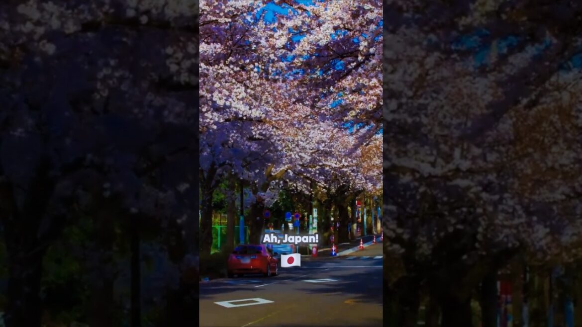 Discover Why Japan Should Top Your Travel List! 🇯🇵✨