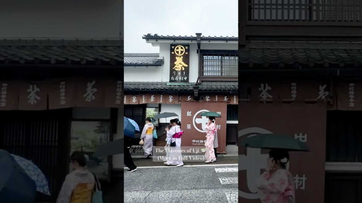 Uji, Day Trip from Kyoto/ Osaka #japan #travel #kyoto #japanesefood #matcha #uji #osaka #日本 #京都 #宇治