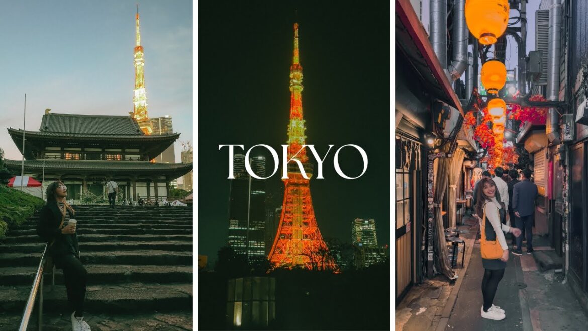 Solo Trip in Japan | Tokyo Part 2