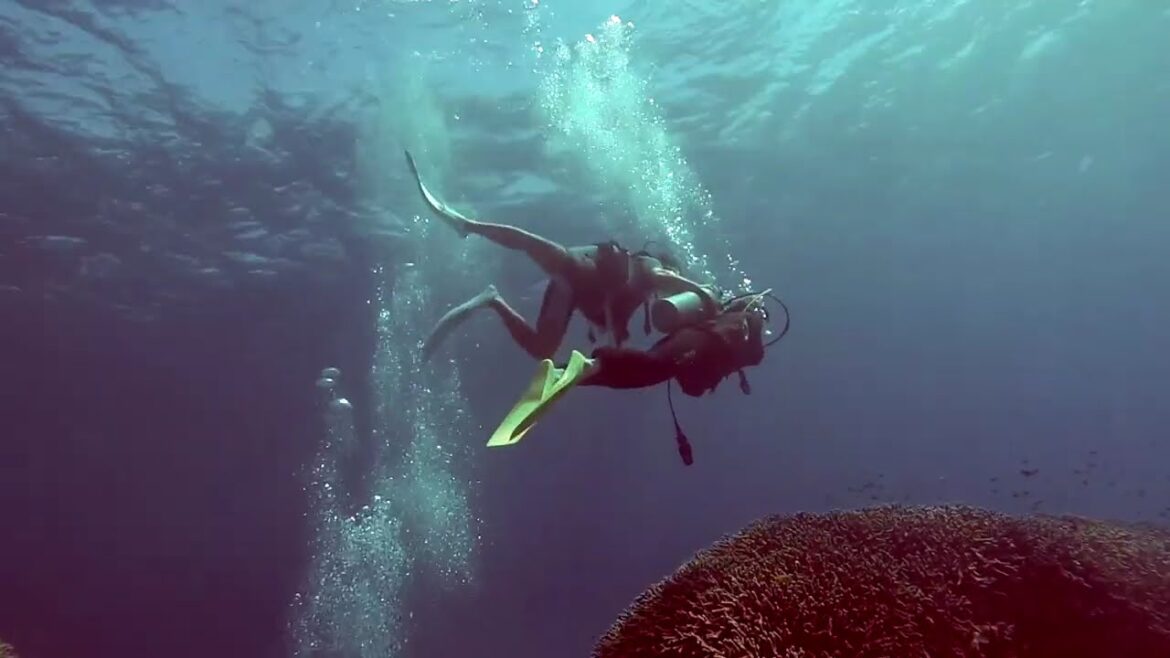 沖縄で体験ダイビングにお付き合い_クレーン状態で楽ちん！(2-0)