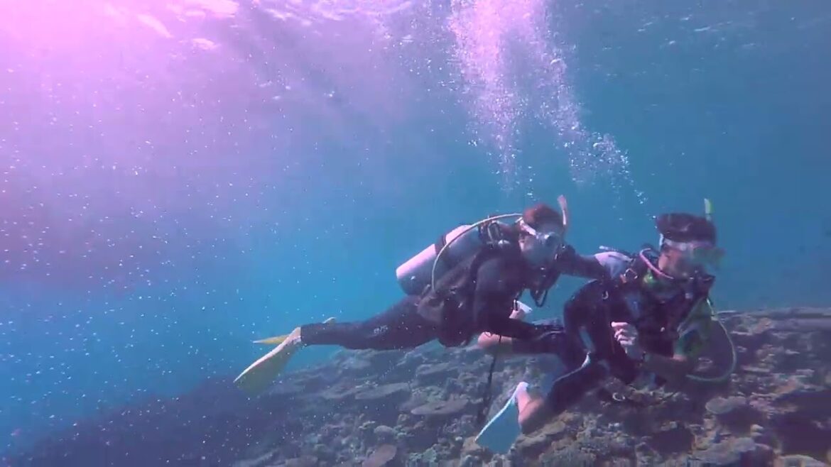 沖縄・慶良間で体験ダイビングにお付き合い_ クレーン状態で楽ちん！(1-2)