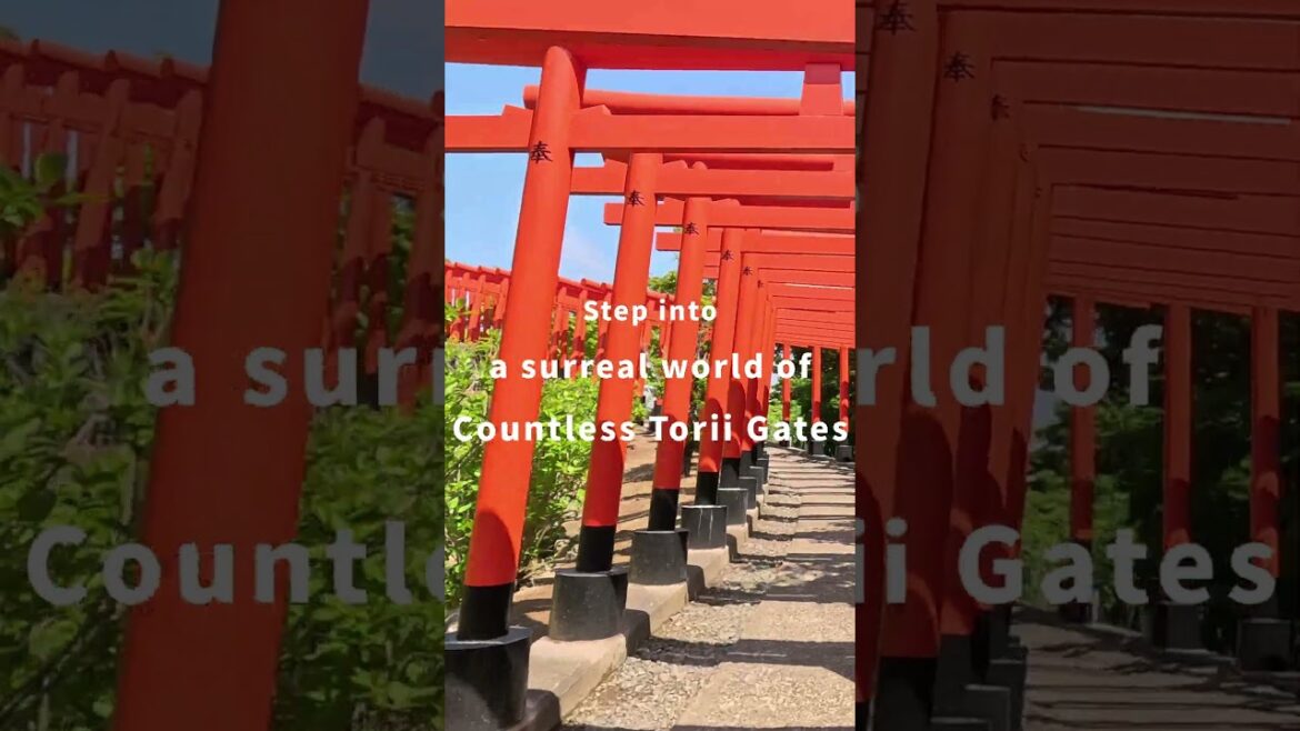 [Japan Hidden Gem] Found a surreal spot in Tohoku