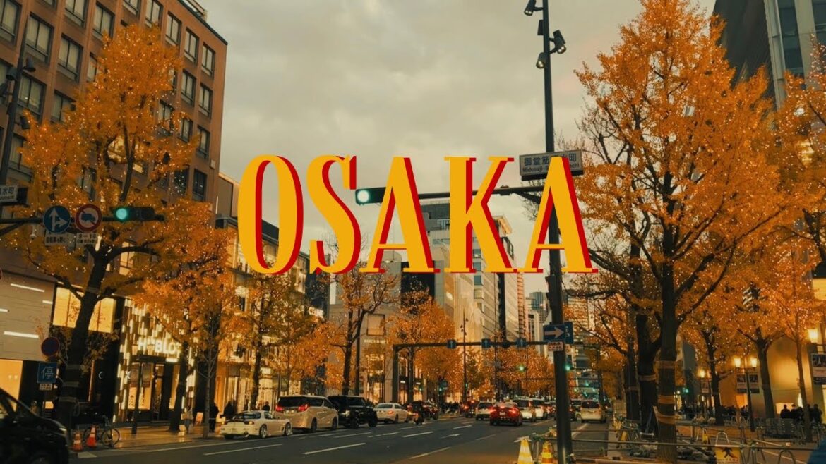 moving abroad in my 20s (part 1): osaka trip moving abroad in my 20s (part 1): osaka trip