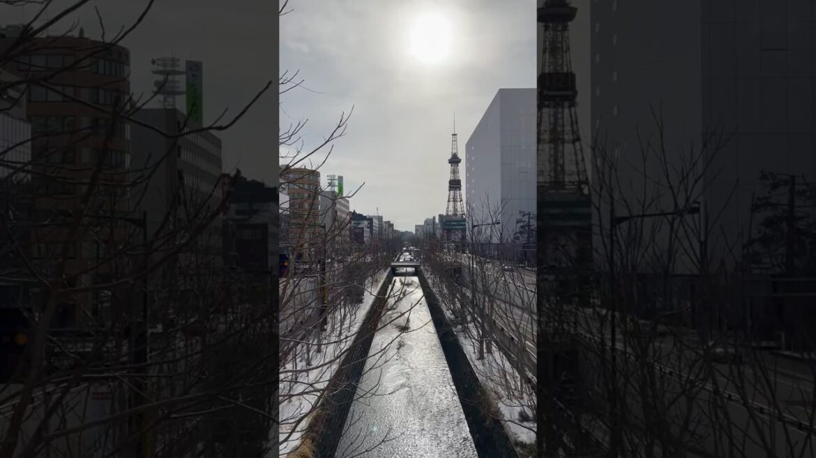 New Destination Unlocked: #Sapporo ❄️#Japan #Hokkaido #TravelVlog