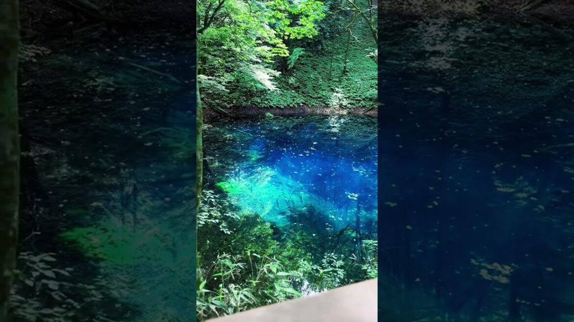 Fukaura Aomori Fukaura Aomori