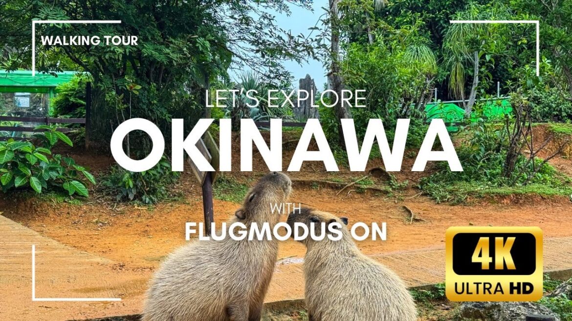 Okinawa┃Capybaras and Serenity at the South Botanical Garden 🇯🇵 4K Walking Tour┃Japan Okinawa┃Capybaras and Serenity at the South Botanical Garden 🇯🇵 4K Walking Tour┃Japan