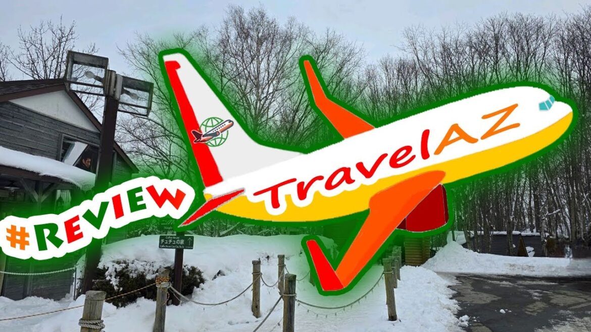 #ReviewActivity Hokkaido Popular Attractions Day Tour｜Asahikawa Zoo & Internet Celebrity Tree &