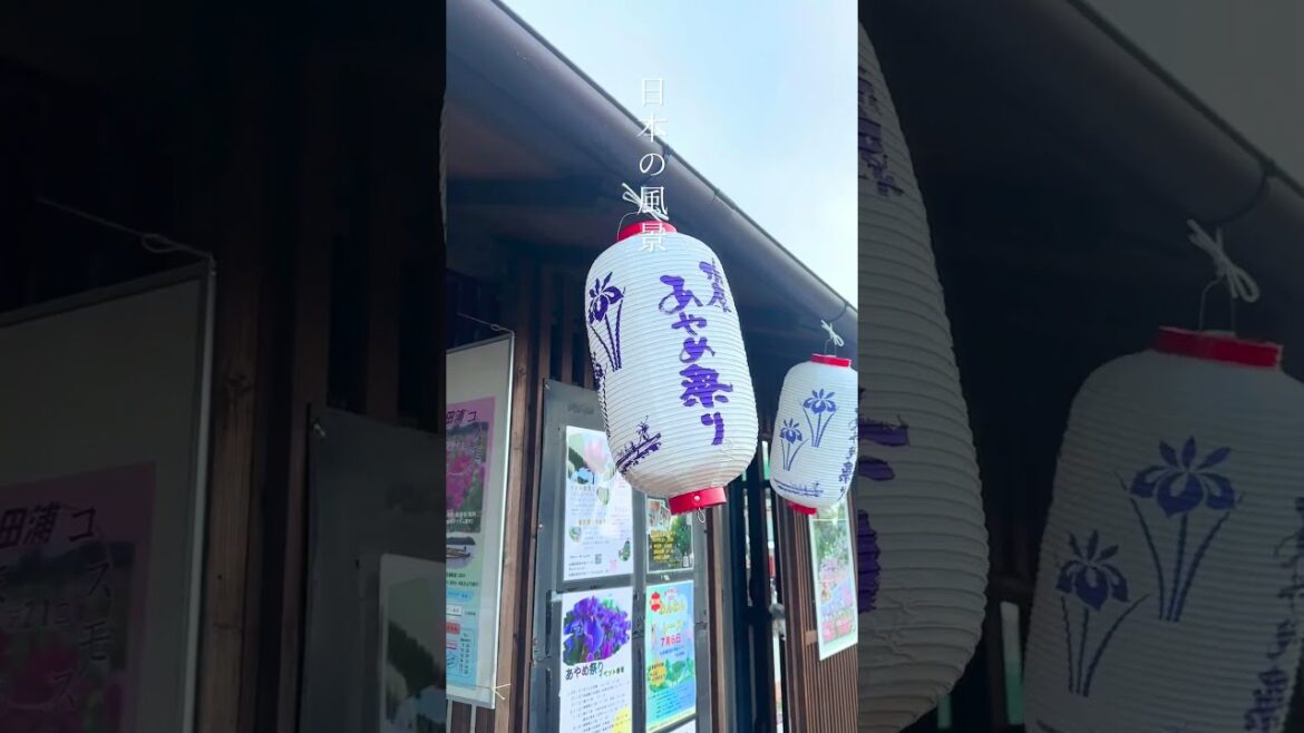 Small boat trip to Chiba Sawara #shorts   #japan  #chiba   #narita #japanvlog  #japantravel  #trip