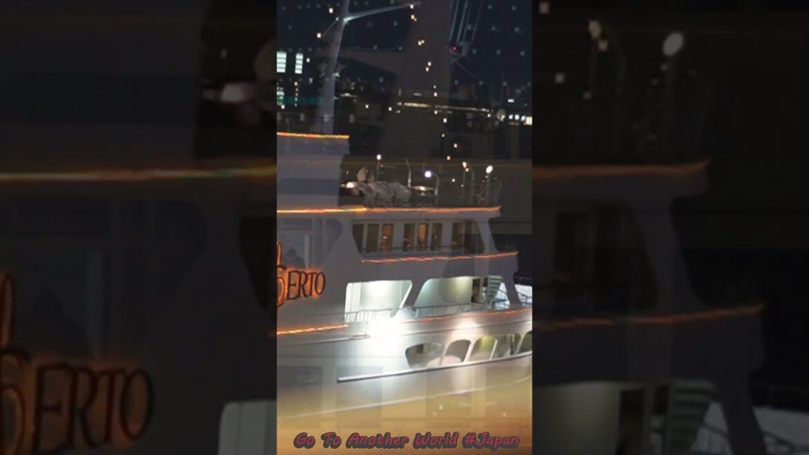 kobe Meriken Park ① Night view