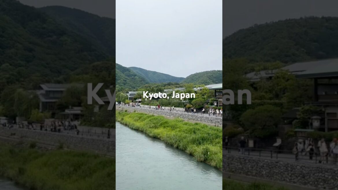 교토 아라시야마  🌸🍜🛍️ Kyoto Arashiyama: Stunning Garden, Tasty Tofu & Cute Shops