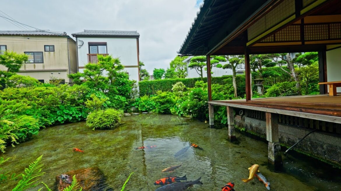 Japanese Spring Water Garden Ambience #湧水庭園四明荘 Yuusui-Teien Shimeiso, Nagasaki, Shimabara City Japan