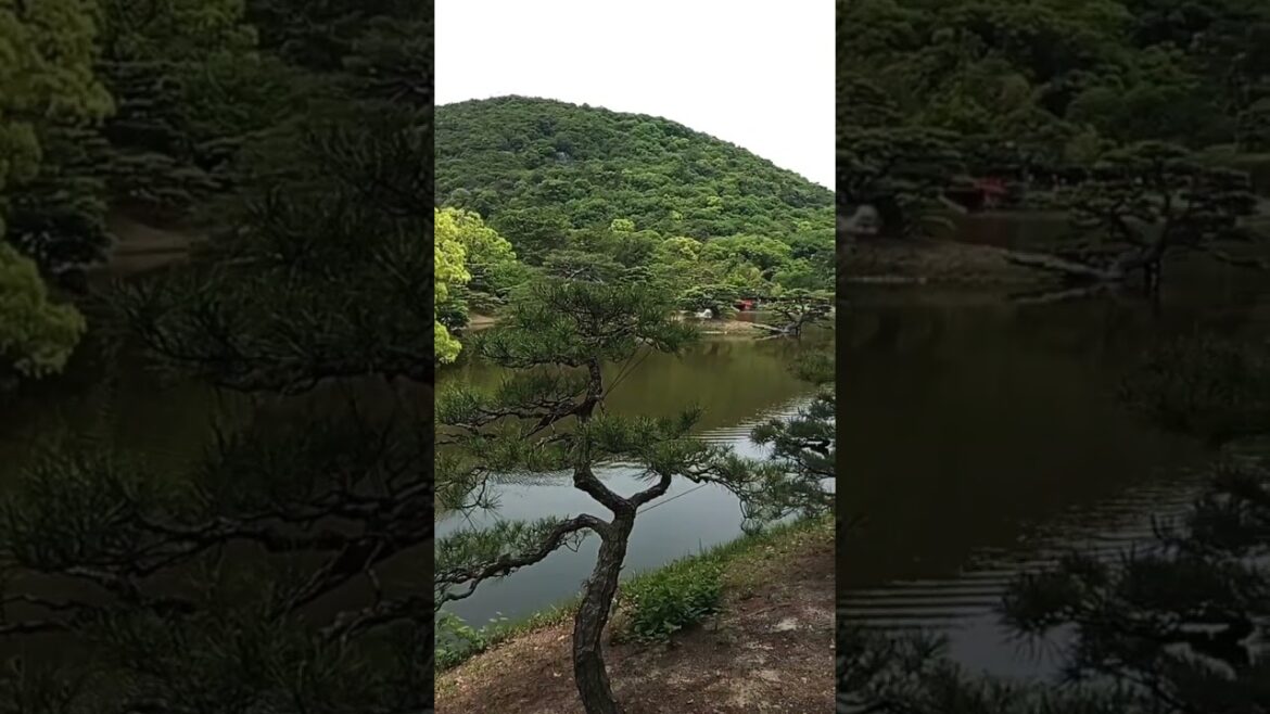 Keindahan Taman Asli Jepang#shorts