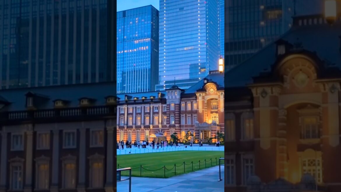 #tokyo #travel #japan #japanese #trainstation #ytshorts #shorts #shortsfeed #shortvideo #asia #2025