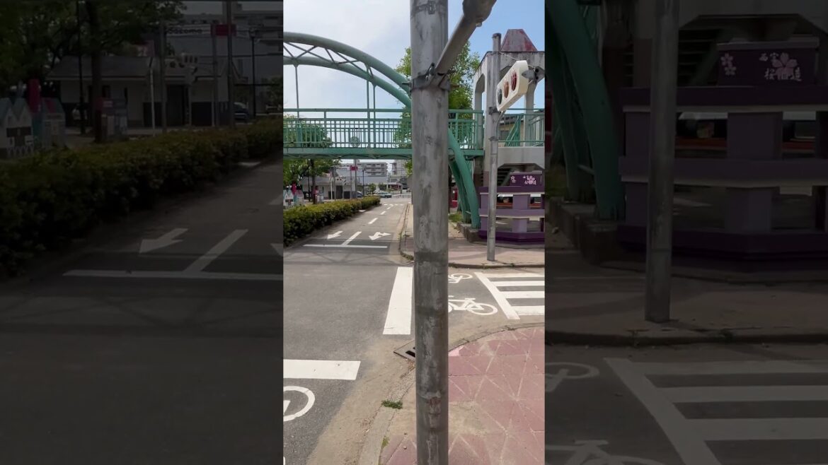 【KOBE】Must-See Kids Friendly Spot - Kubo Park