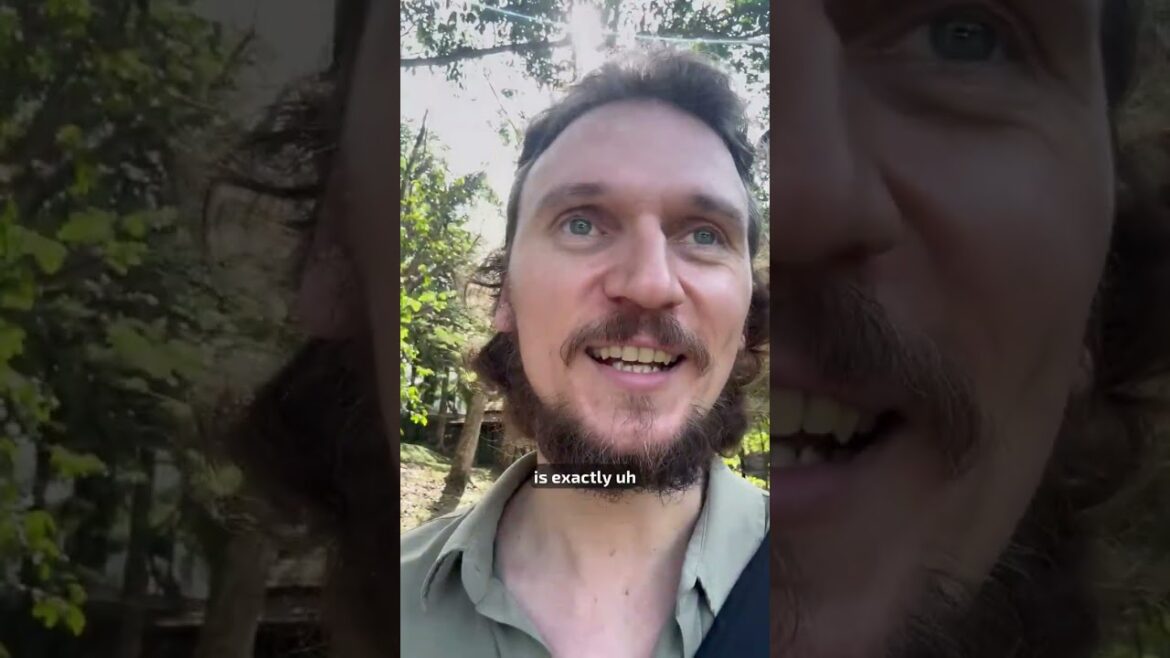 Walking with Piotrek: back in KL after a trip to Japan