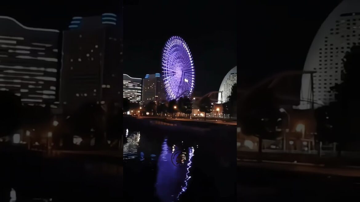Stunning Night Lights of Yokohama City