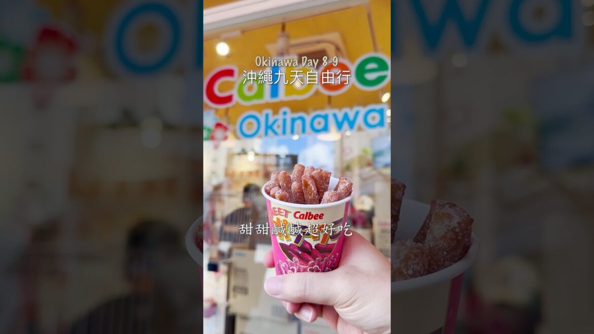 沖繩自由行 Day8-9 #okinawa #youtubeshorts