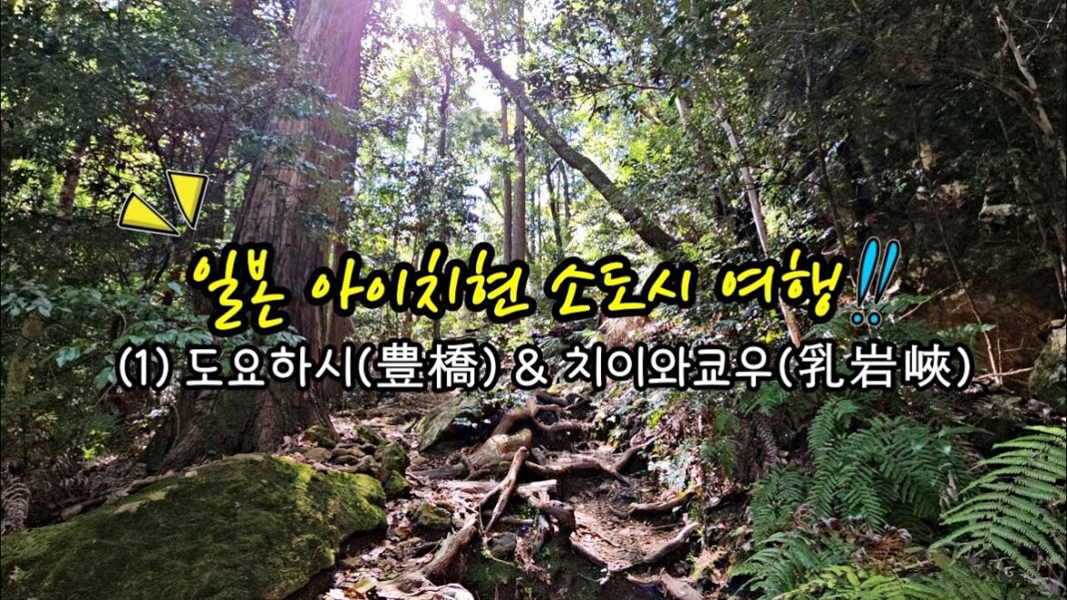 아이치현 도요하시(豊橋)여행ㅣ일본인들도 잘 모르는 위험 아슬한 하이킹 코스~🏞ㅣ일본 소도시 여행ㅣ골든위크 3박 4일 여행ㅣ한일부부의 일본 국내 여행ㅣ일본일상