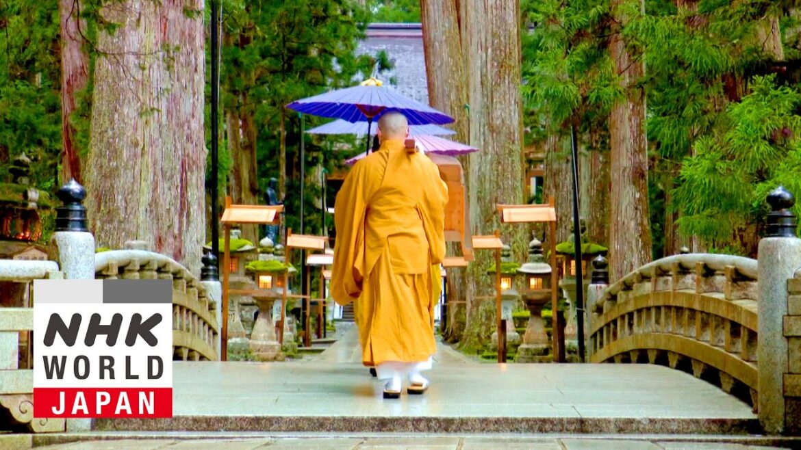 WELCOME TO WAKAYAMA!: Taking on Traditions - Dig More Japan