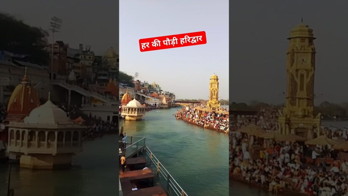 Har ki Pauri Haridwar || Haridwar Rishikesh || Ganga Ji Mein Naha lo /#haridwar #viral #shorts #vlog
