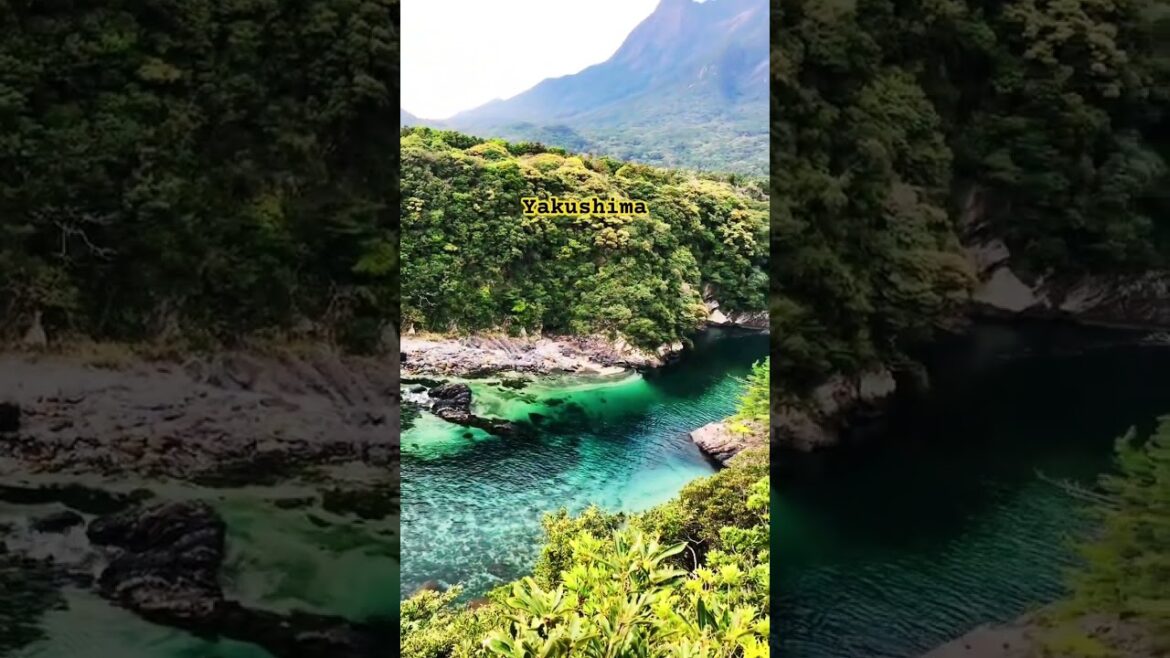 Yakushima, Kagoshima
