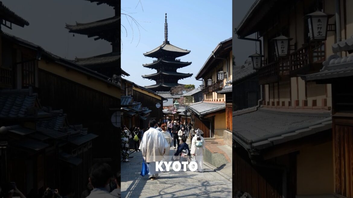 Top 5 must-visit cities in Japan you can’t miss! ✈️🇯🇵 #kyoto  #Tokyo #Osaka #Sapporo #Hiroshima