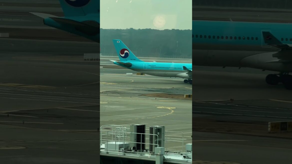Korean Air at Narita Airport #shorts #travel #short #airplane #koreanair