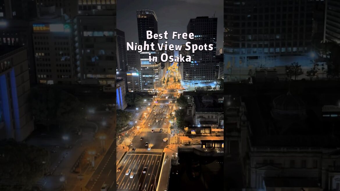 Best free night view spot in Osaka 🌃 #travel #japan #hiddengems