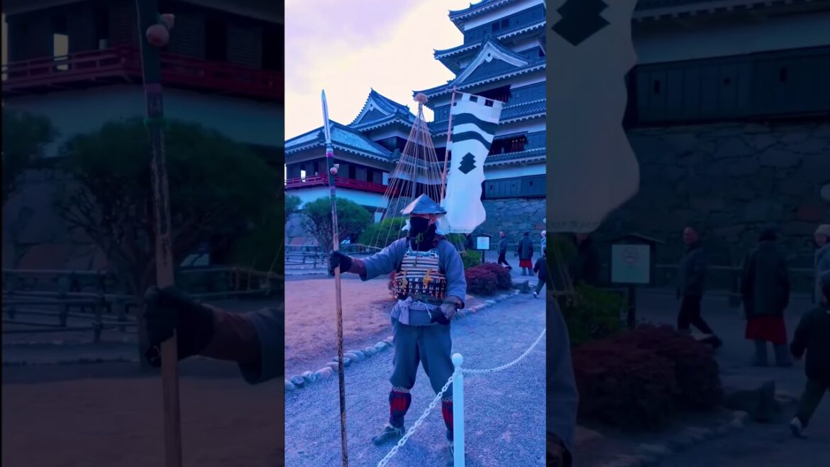 Do you know the original castles of Japan?🇯🇵