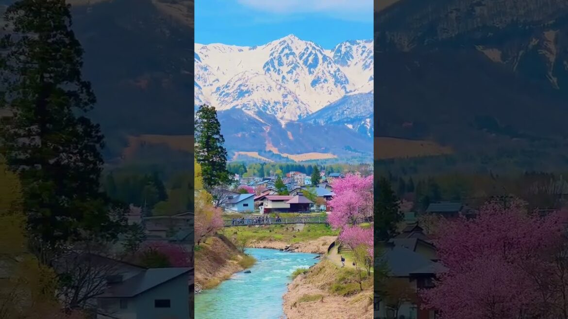 Oide Park Nagano Japan #shorts