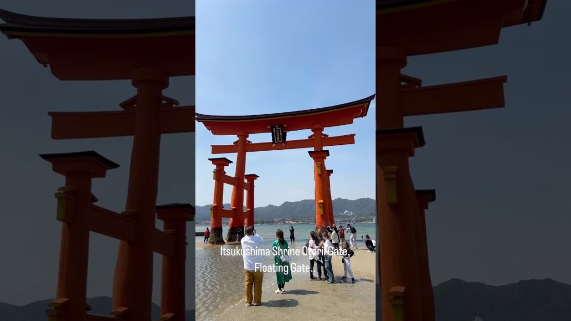 A day trip to Miyajima Island from Hiroshima, must visit in Japan. #travel #love #shorts #like
